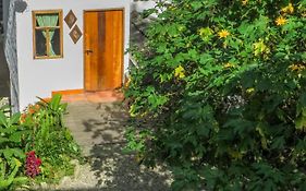 Finca Los Abuelos - La Planta